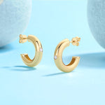 Load image into Gallery viewer, Aurum Bold Moissanite Hoops