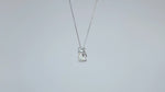 Load and play video in Gallery viewer, Double Éclat Moissanite Necklace

